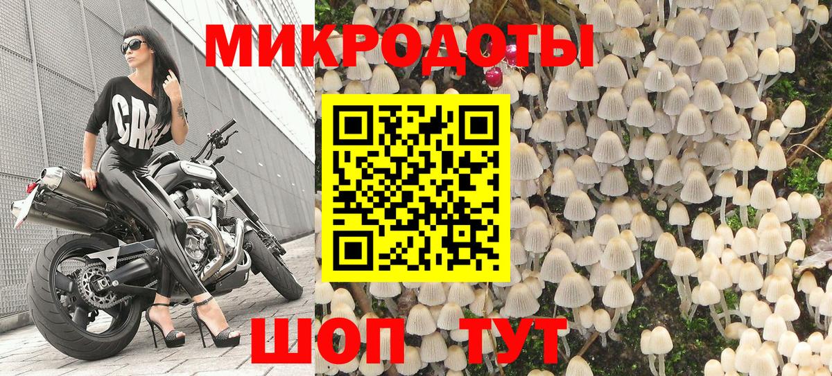 Псилоцибиновые грибы мухоморы Шадринск