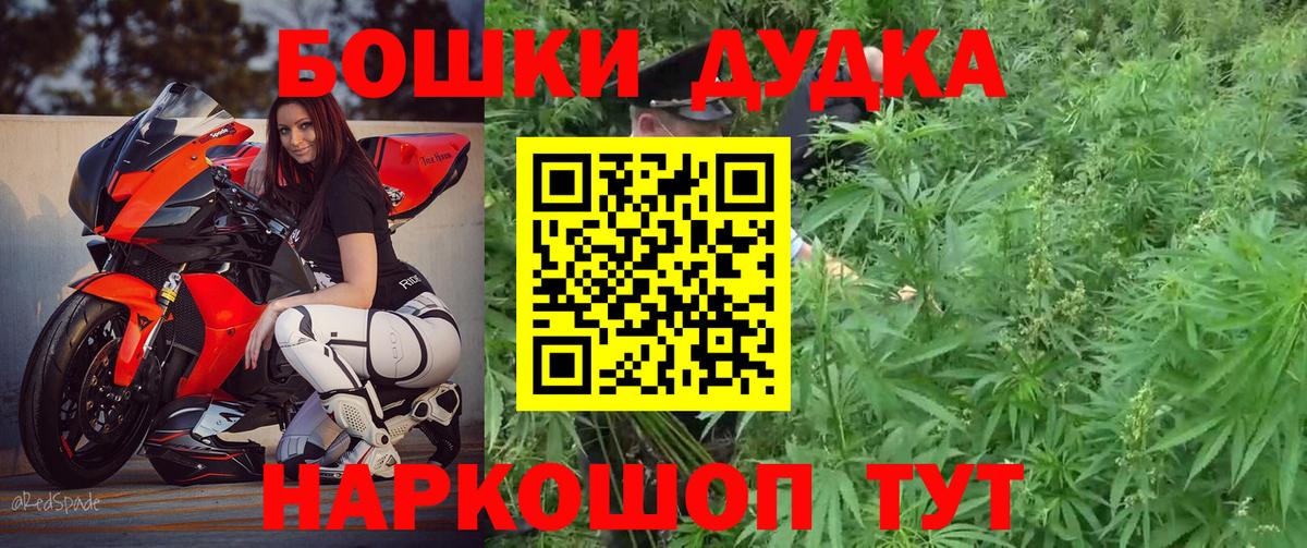 Бошки Шишки семена Шадринск